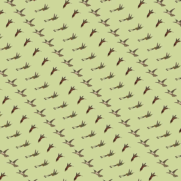Repeating Pattern - Hummingbirds