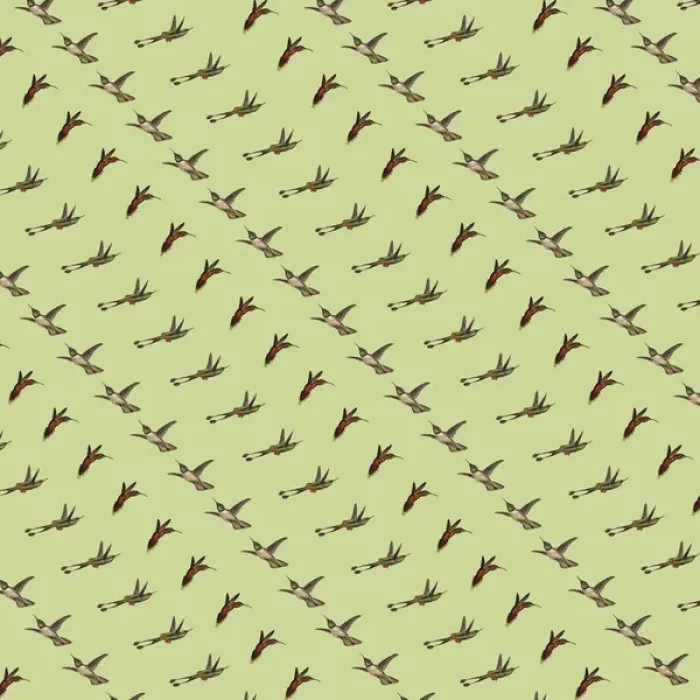 Framed Print : Repeating Pattern - Hummingbirds Framed Print : Repeating Pattern - Hummingbirds