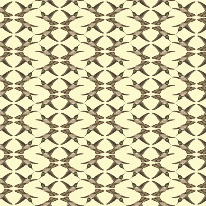 Framed Print : Repeating Pattern - Hummingbirds Framed Print : Repeating Pattern - Hummingbirds