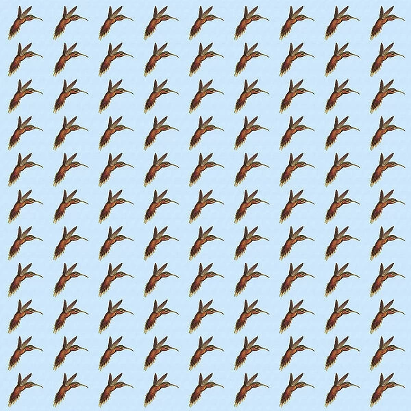 Repeating Pattern - Hummingbirds