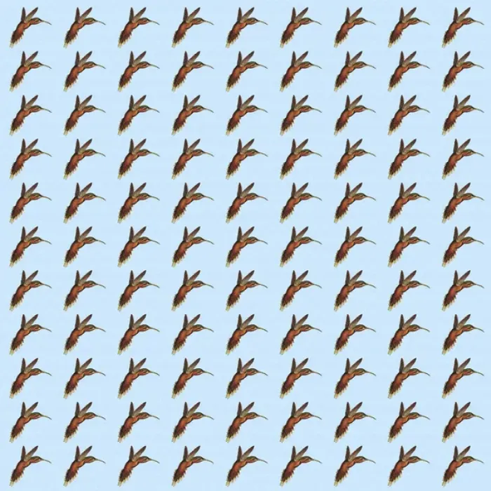 Framed Print : Repeating Pattern - Hummingbirds Framed Print : Repeating Pattern - Hummingbirds