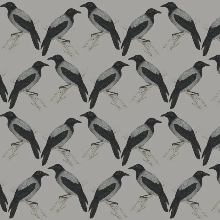 Framed Print : Repeating Pattern - Jackdaws Framed Print : Repeating Pattern - Jackdaws