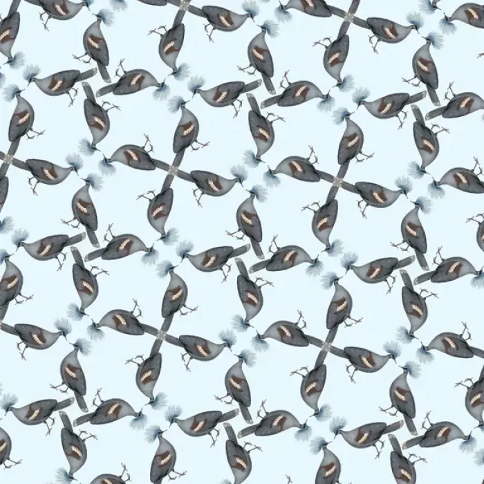 Framed Print : Repeating Pattern - Pigeons Framed Print : Repeating Pattern - Pigeons