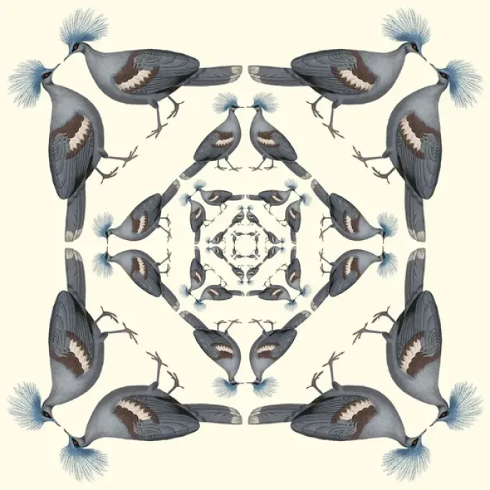 Framed Print : Repeating Pattern - Pigeons Framed Print : Repeating Pattern - Pigeons