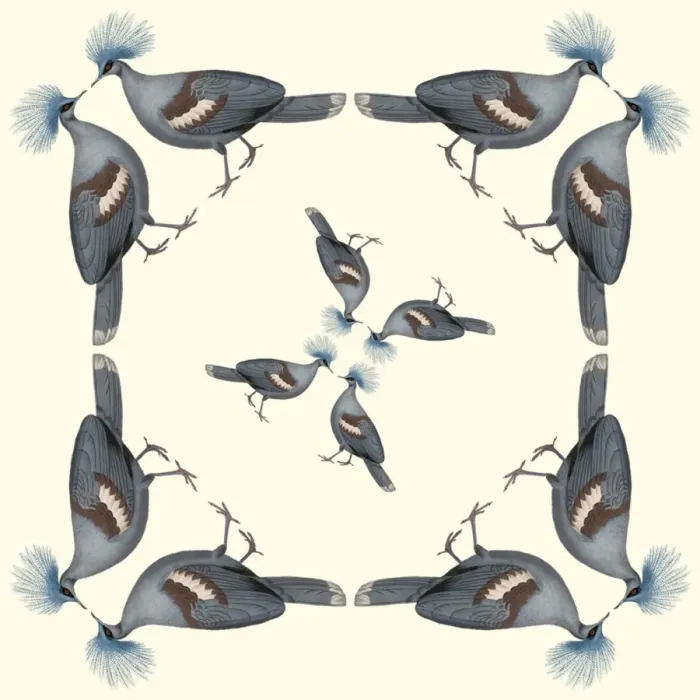 Framed Print : Repeating Pattern - Pigeons Framed Print : Repeating Pattern - Pigeons