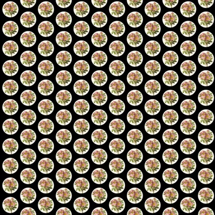 Framed Print : Repeating Pattern - Pink Roses - Circles Framed Print : Repeating Pattern - Pink Roses - Circles