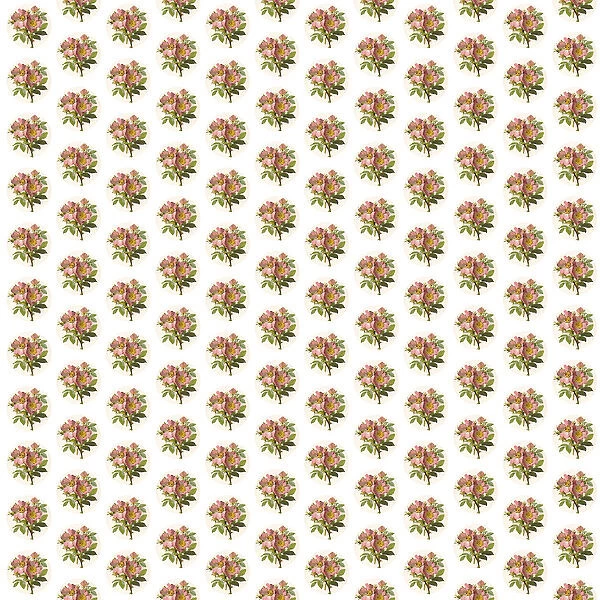 Repeating Pattern - Pink Roses - Circles