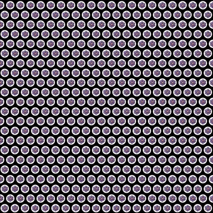 Framed Print : Repeating Pattern - Purple Flowers - Black Background Framed Print : Repeating Pattern - Purple Flowers - Black Background