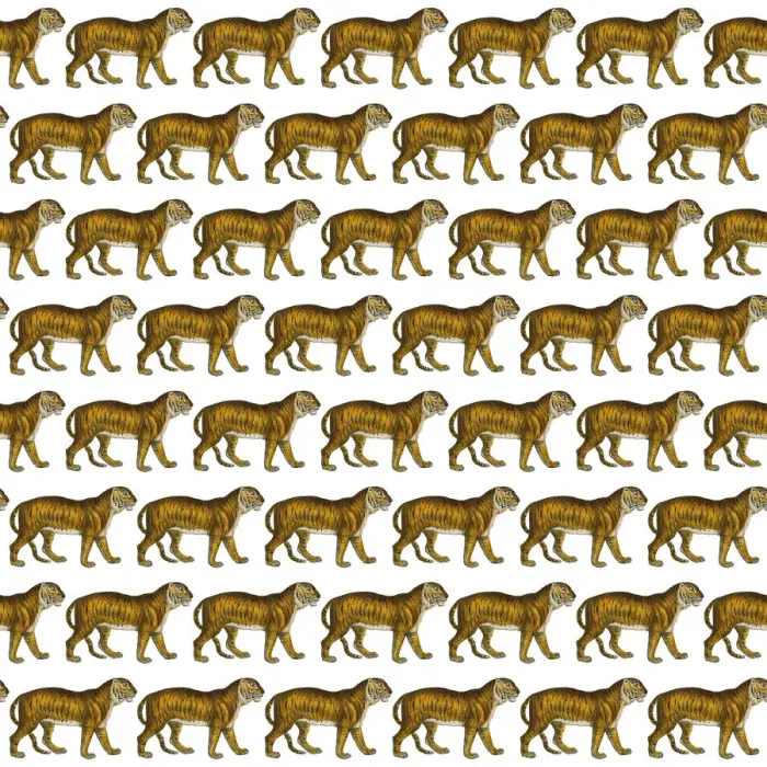 Framed Print : Repeating Pattern - Tigers - white background Framed Print : Repeating Pattern - Tigers - white background