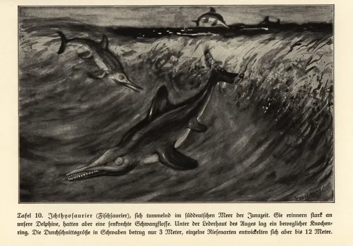 Framed Print : Reproduction of extinct Ichthyosaurs, Jurassic era Framed Print : Reproduction of extinct Ichthyosaurs, Jurassic era