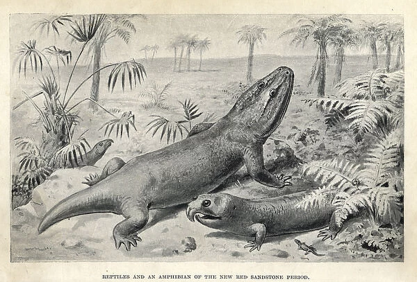 Reptiles and amphibian of the Triassic