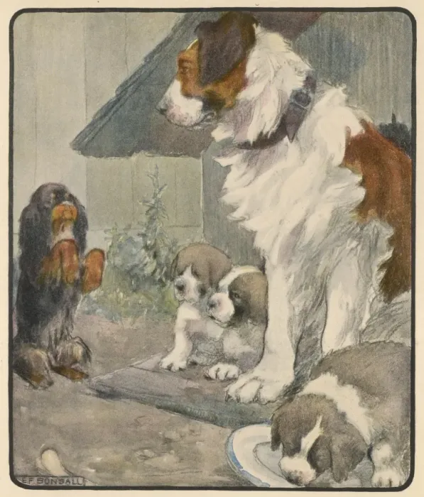 Framed Print : Respectful Dog Framed Print : Respectful Dog