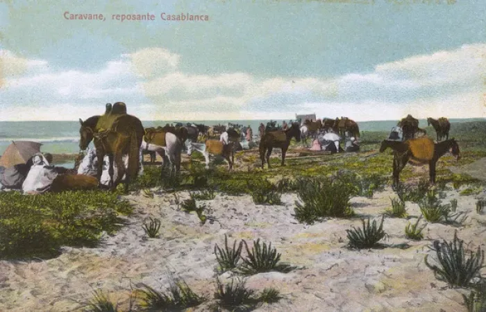Framed Print : Resting caravan - Casablanca, Morocco Framed Print : Resting caravan - Casablanca, Morocco