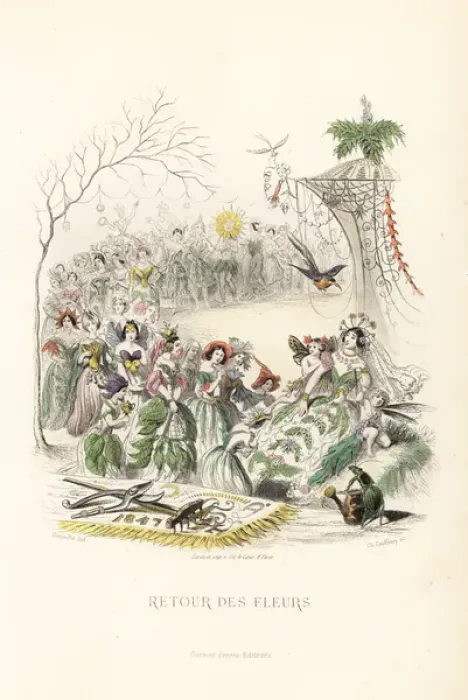 Framed Print : The return of the flower fairies Framed Print : The return of the flower fairies