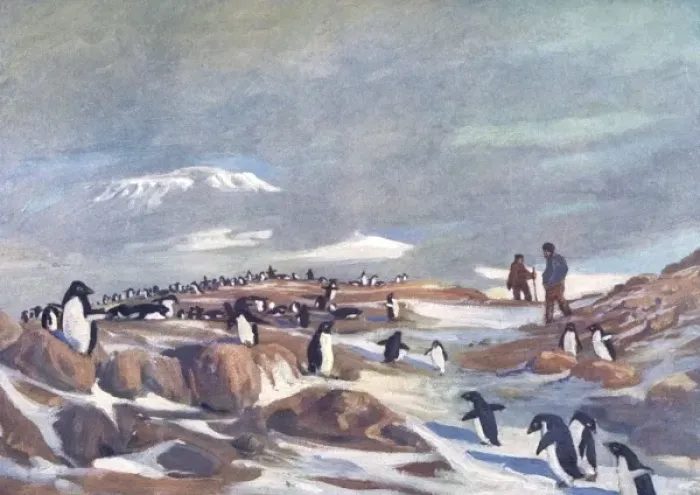 Framed Print : Return of the Penguins Framed Print : Return of the Penguins