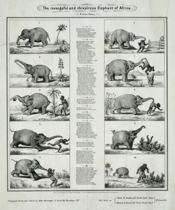 Framed Print : The revengeful and chivalrous elephant of Africa Framed Print : The revengeful and chivalrous elephant of Africa