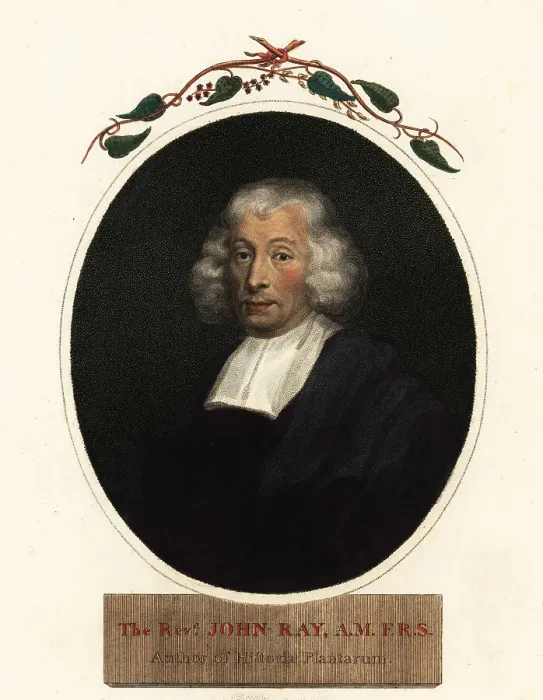 Framed Print : Reverend John Ray, naturalist and botanist Framed Print : Reverend John Ray, naturalist and botanist
