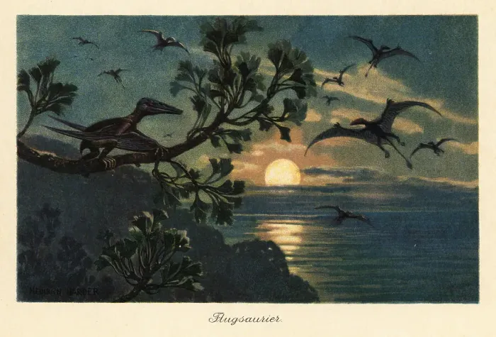 Framed Print : Rhamphorhynchus pterosaurs flying in the moonlight Framed Print : Rhamphorhynchus pterosaurs flying in the moonlight