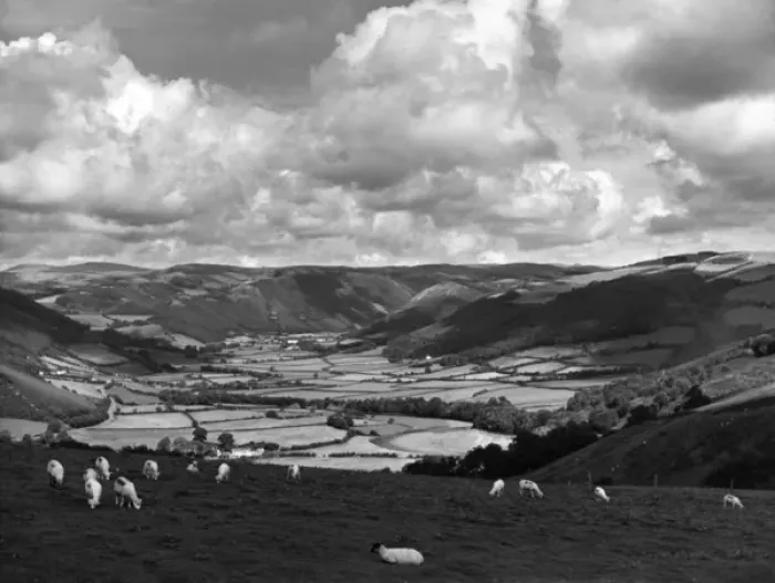 Framed Print : Rheidol Valley Framed Print : Rheidol Valley