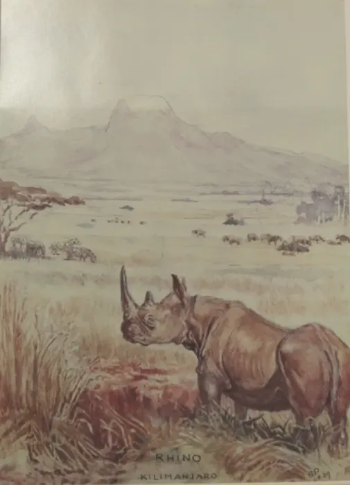 Framed Print : Rhino, Kilimanjaro Framed Print : Rhino, Kilimanjaro