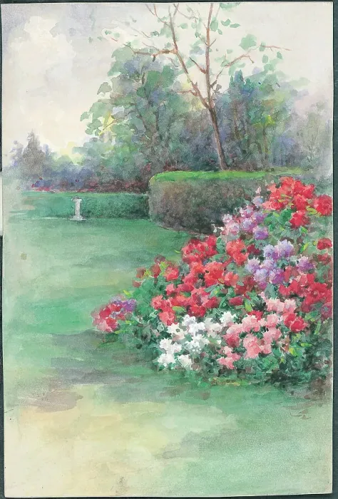Framed Print : Rhododendhron hedge Framed Print : Rhododendhron hedge