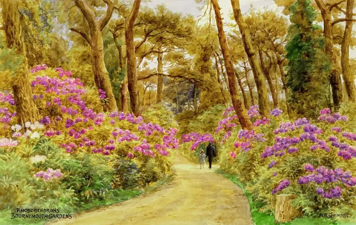 Framed Print : Rhododendrons in the Gardens, Bournemouth, Dorset Framed Print : Rhododendrons in the Gardens, Bournemouth, Dorset