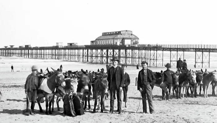 Framed Print : Rhyl donkeys on the beach and pier Framed Print : Rhyl donkeys on the beach and pier