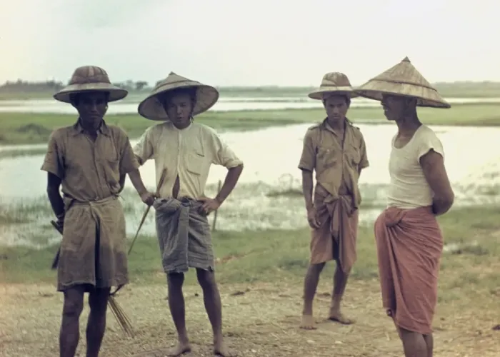 Framed Print : Rice - paddy workers - Rangoon Framed Print : Rice - paddy workers - Rangoon