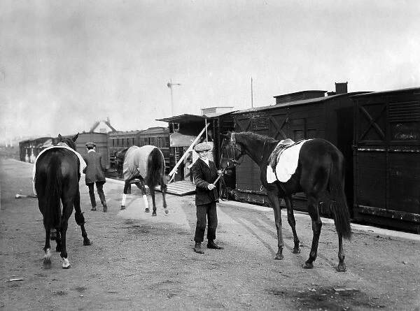 Richard Boss Crokers horses, Dublin, Ireland