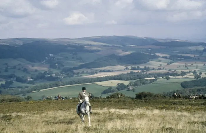 Framed Print : Rider above Luccombe Woods, Exmoor, Somerset Framed Print : Rider above Luccombe Woods, Exmoor, Somerset