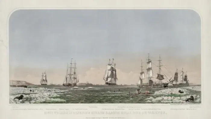 Framed Print : Right whaling in Behering Straits & Arctic Ocean with its va Framed Print : Right whaling in Behering Straits & Arctic Ocean with its va