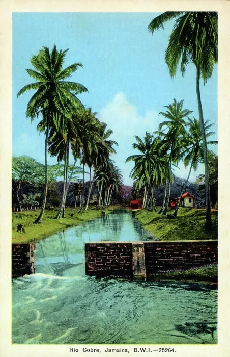 Framed Print : Rio Cobre River, Jamaica, West Indies Framed Print : Rio Cobre River, Jamaica, West Indies