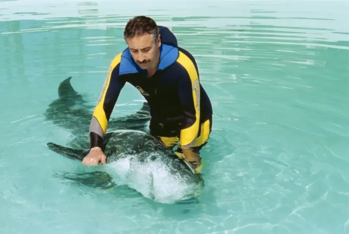 Framed Print : Rissos DOLPHIN - Being helped to swim by researcher Framed Print : Rissos DOLPHIN - Being helped to swim by researcher