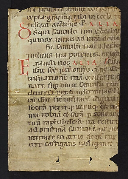 Ritual (Fragment). Fragment of a bifolium, probably