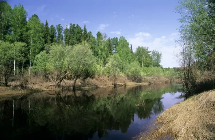 Framed Print : River Negustyah in middle current. Dark water is Framed Print : River Negustyah in middle current. Dark water is