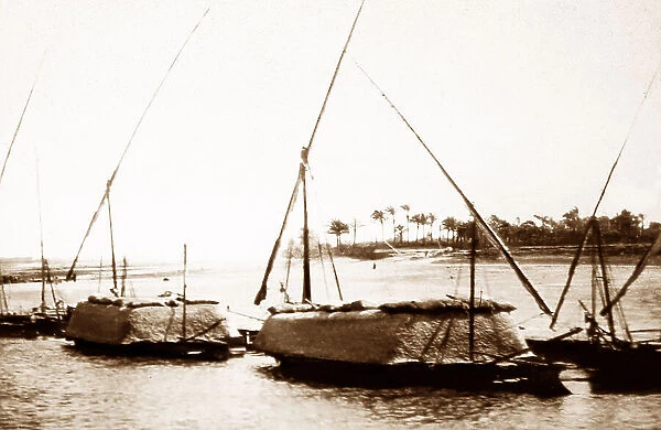 River Nile sailing boats loaded with grain, Egypt