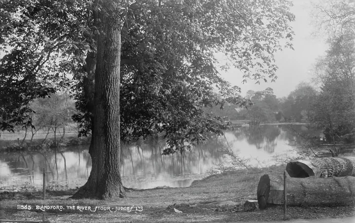 Framed Print : The River Stour at Blandford Framed Print : The River Stour at Blandford