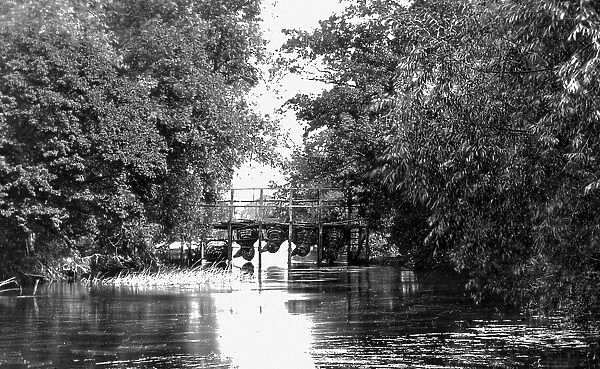 River Thames Eel Bucks near Culham Court Victorian period