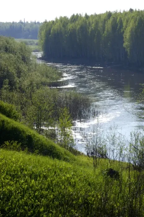 Framed Print : River Tura in North Ural Mountains - a typical Framed Print : River Tura in North Ural Mountains - a typical
