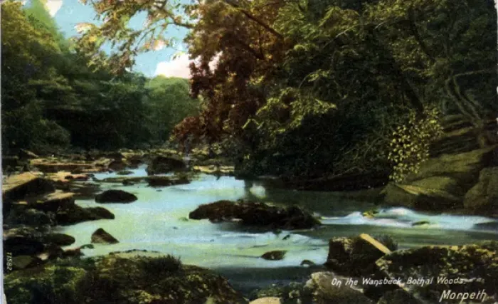 Framed Print : River Wansbeck, Bothal Woods, Northumberland