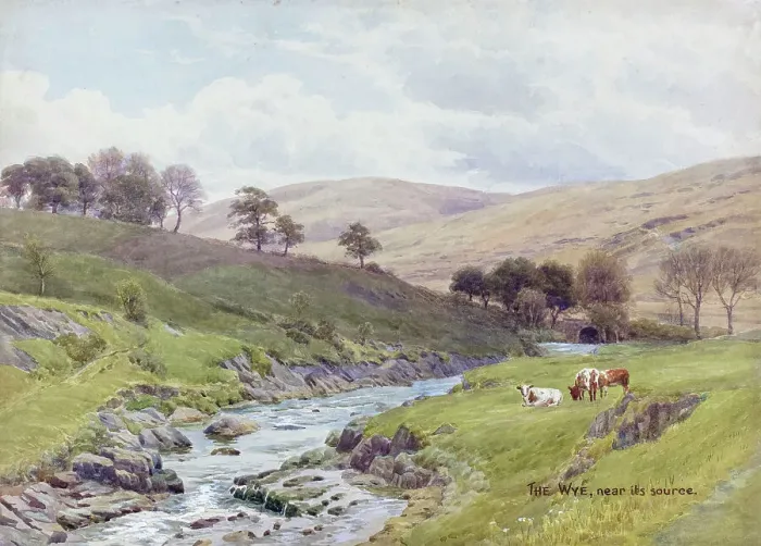 Framed Print : River Wye near its source, Plynlimon, Mid Wales Framed Print : River Wye near its source, Plynlimon, Mid Wales