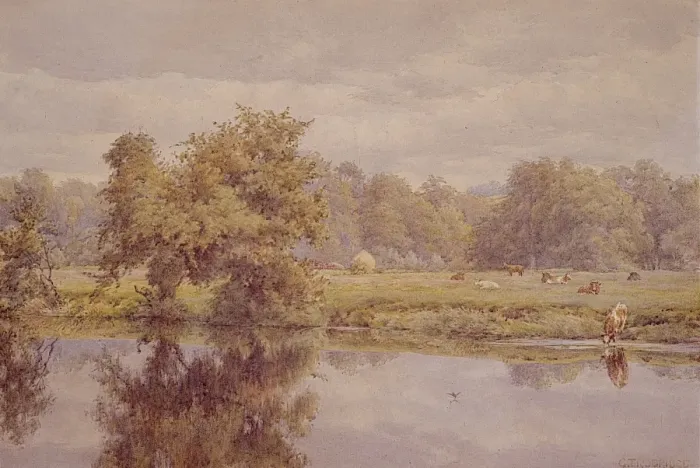 Framed Print : Riverside Meadows, Belvoir Park Framed Print : Riverside Meadows, Belvoir Park