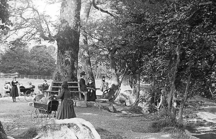 Framed Print : Riverside Park, Tavistock Framed Print : Riverside Park, Tavistock