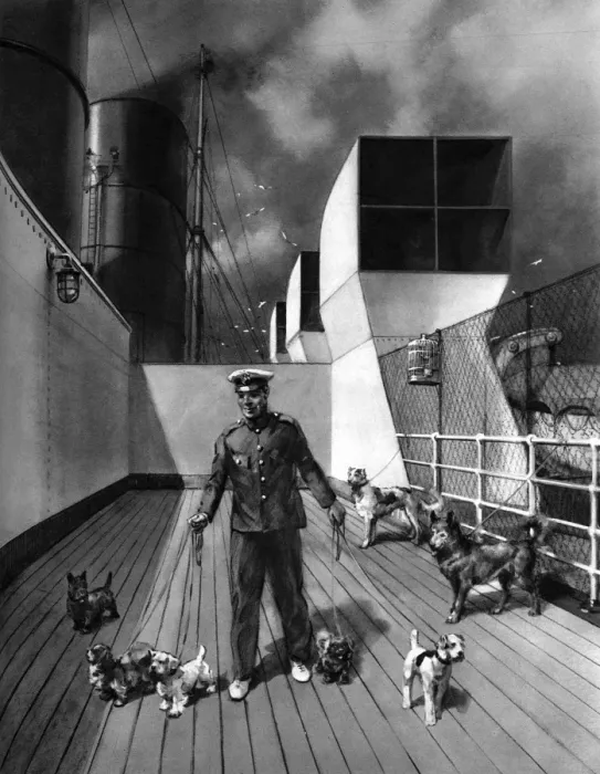 Framed Print : RMS Queen Mary, The Pets Promenade Framed Print : RMS Queen Mary, The Pets Promenade