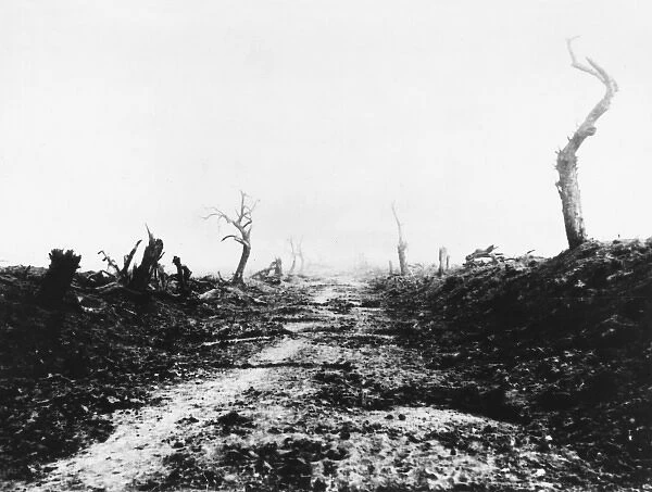 Road to Guillemont 1916