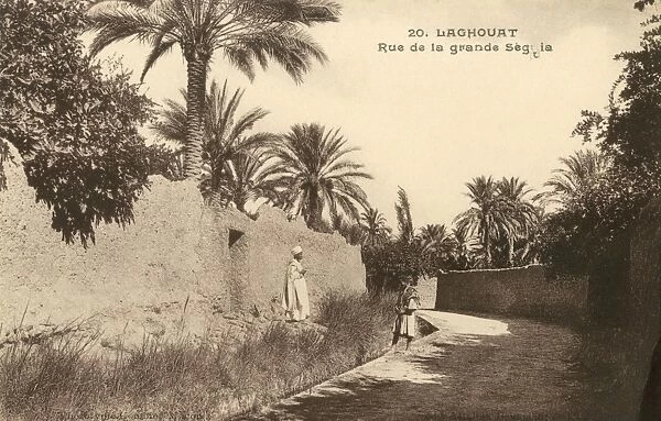 Road, Laghouat