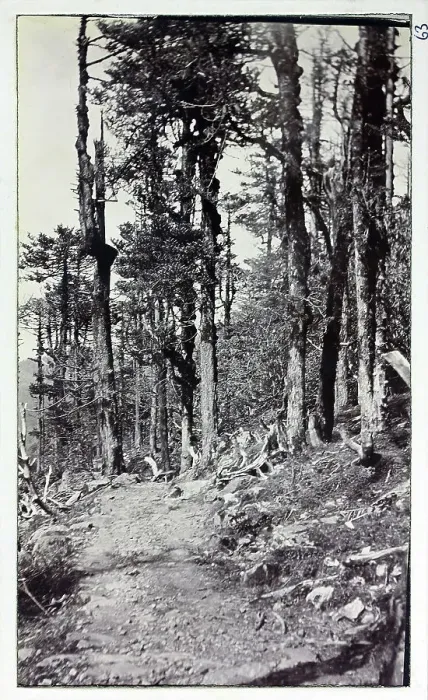 Framed Print : Road to Nathula, a mountain pass in India, near Tibet, from a fascinating album which reveals new details on a little-known campaign in which a British military force brushed aside Tibetan defences to capture Lhasa, in 1904