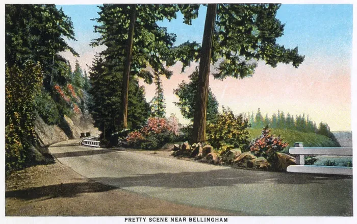 Framed Print : Road near Bellingham, Washington, USA Date: 1929 Framed Print : Road near Bellingham, Washington, USA Date: 1929