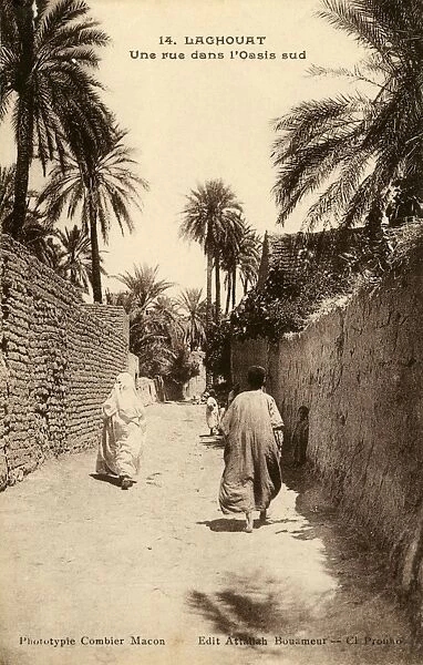 A road in the south of the Oasis, Laghouat