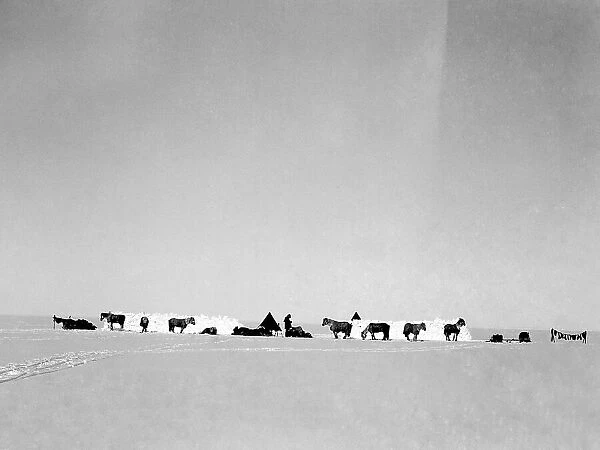 Robert Falcon Scott, Terra Nova Expedition, Antarctic